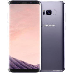 Samsung S8+ 4 + 64 Gb